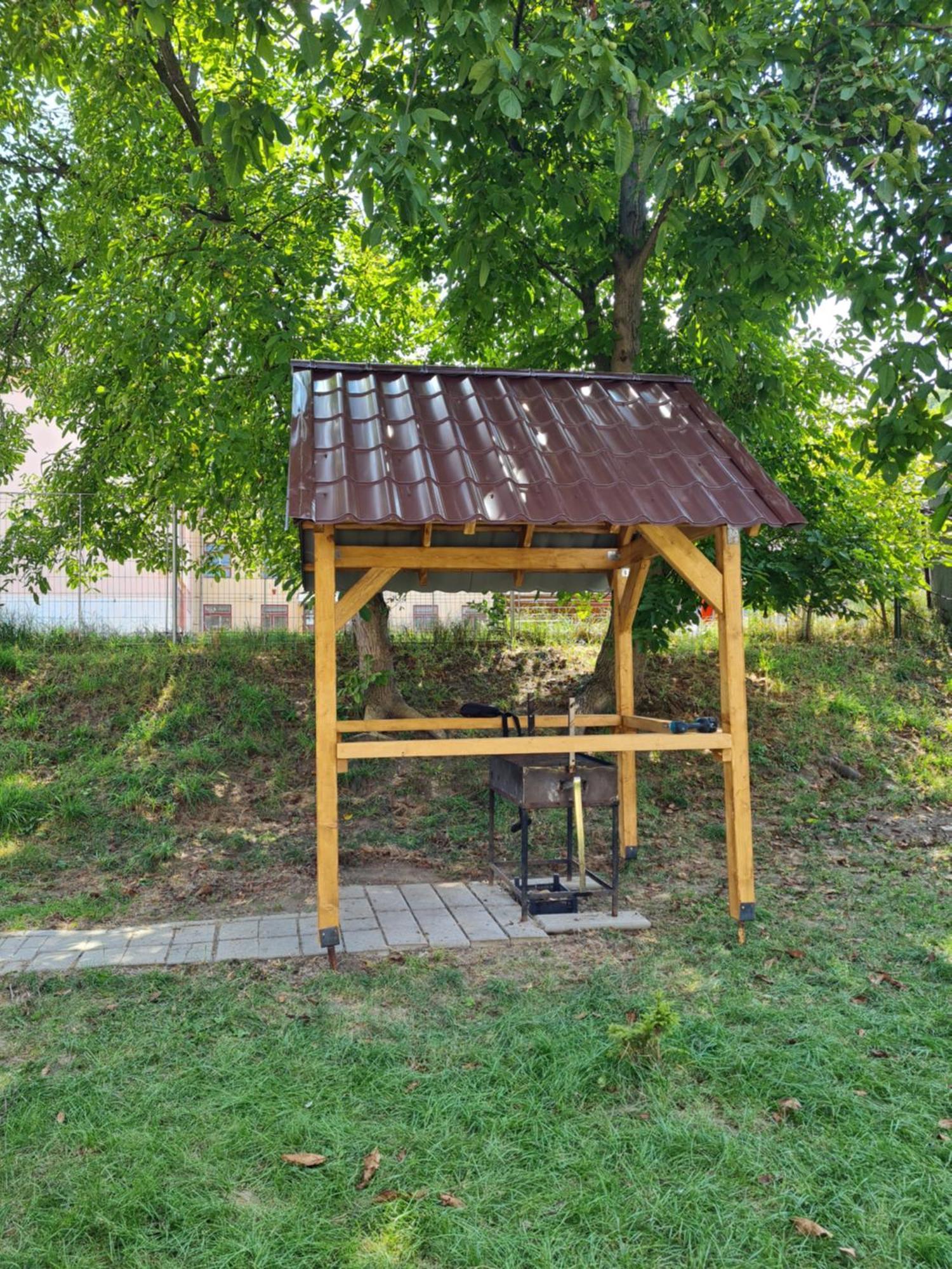 הוילה Casa Sonia סיגישוארה מראה חיצוני תמונה